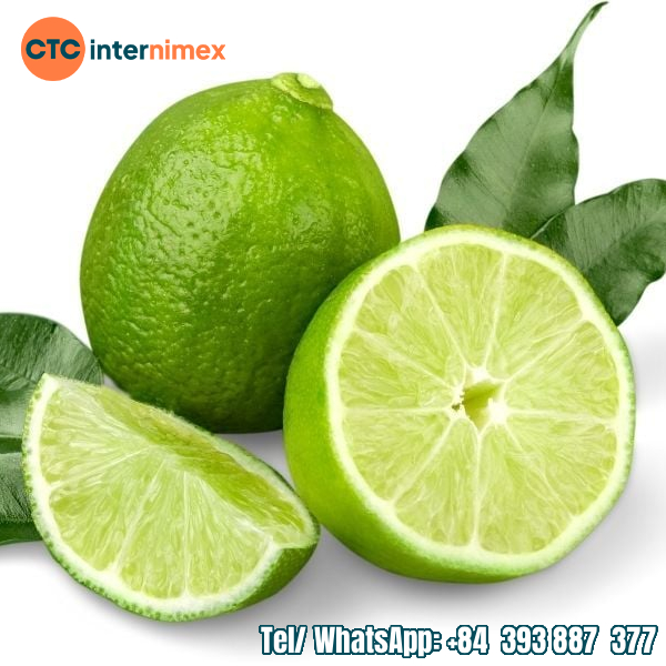 Vietnamese Seedless Lime: Bulk Import, Best Price